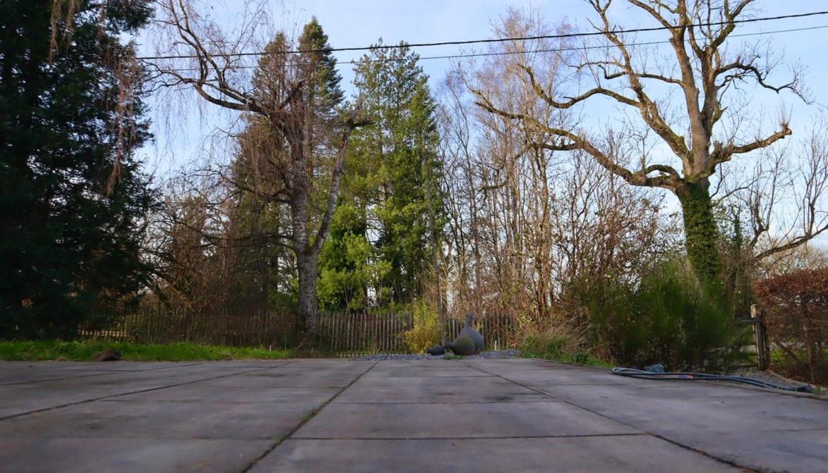 Le Harini Apartamento Manhay Exterior foto